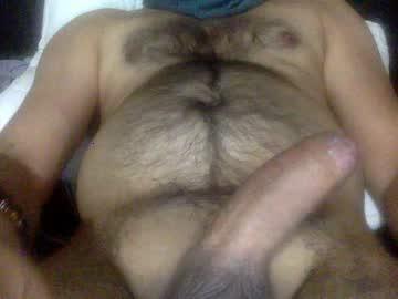 bhola_dili_wala chaturbate