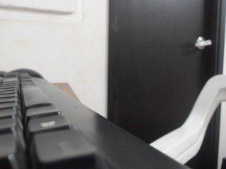 Evasexy-18 bongacams