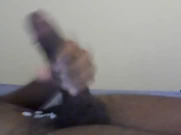 horsedick0528 chaturbate