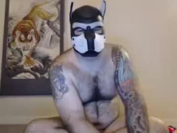 navypup08 chaturbate