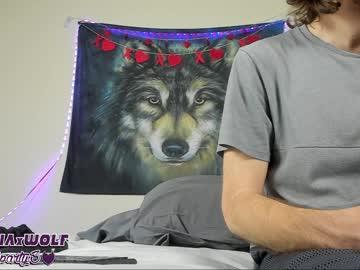 wolfparty3 chaturbate